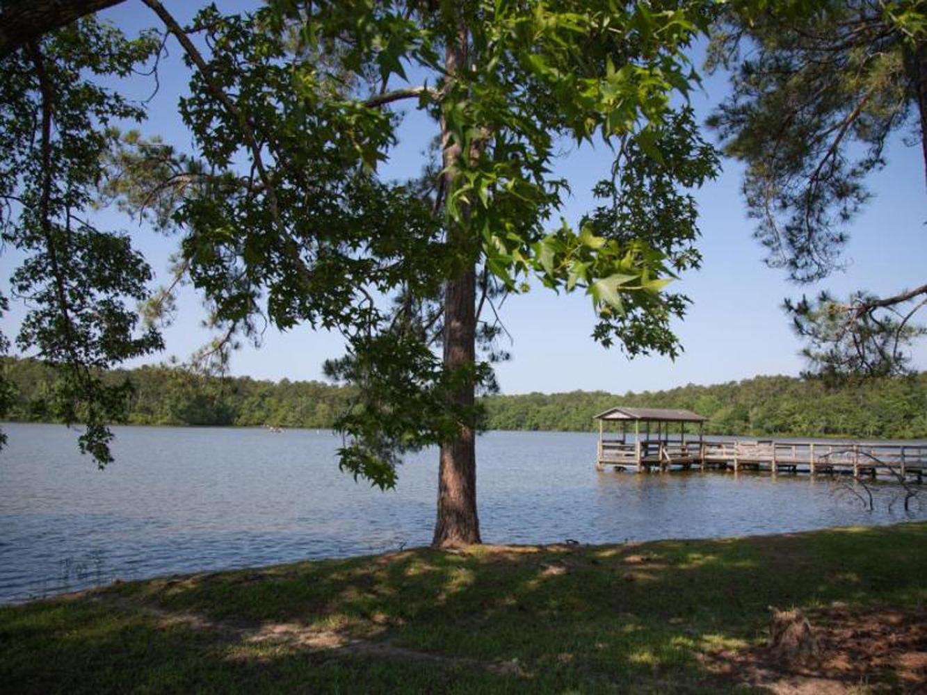 Lee County Public Fishing Lake Reopens March 28 Outdoor Alabama